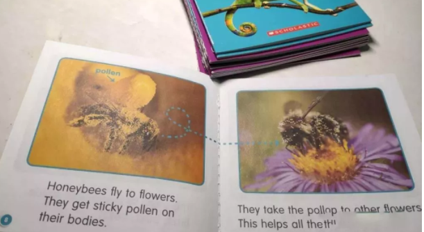 不同年齡段如何做英語分級閱讀？這份操作指南請收好，讓孩子少走彎路！